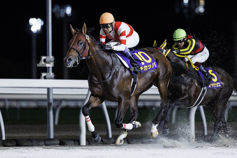 🏇 몬베츠 경마장 이미지 9